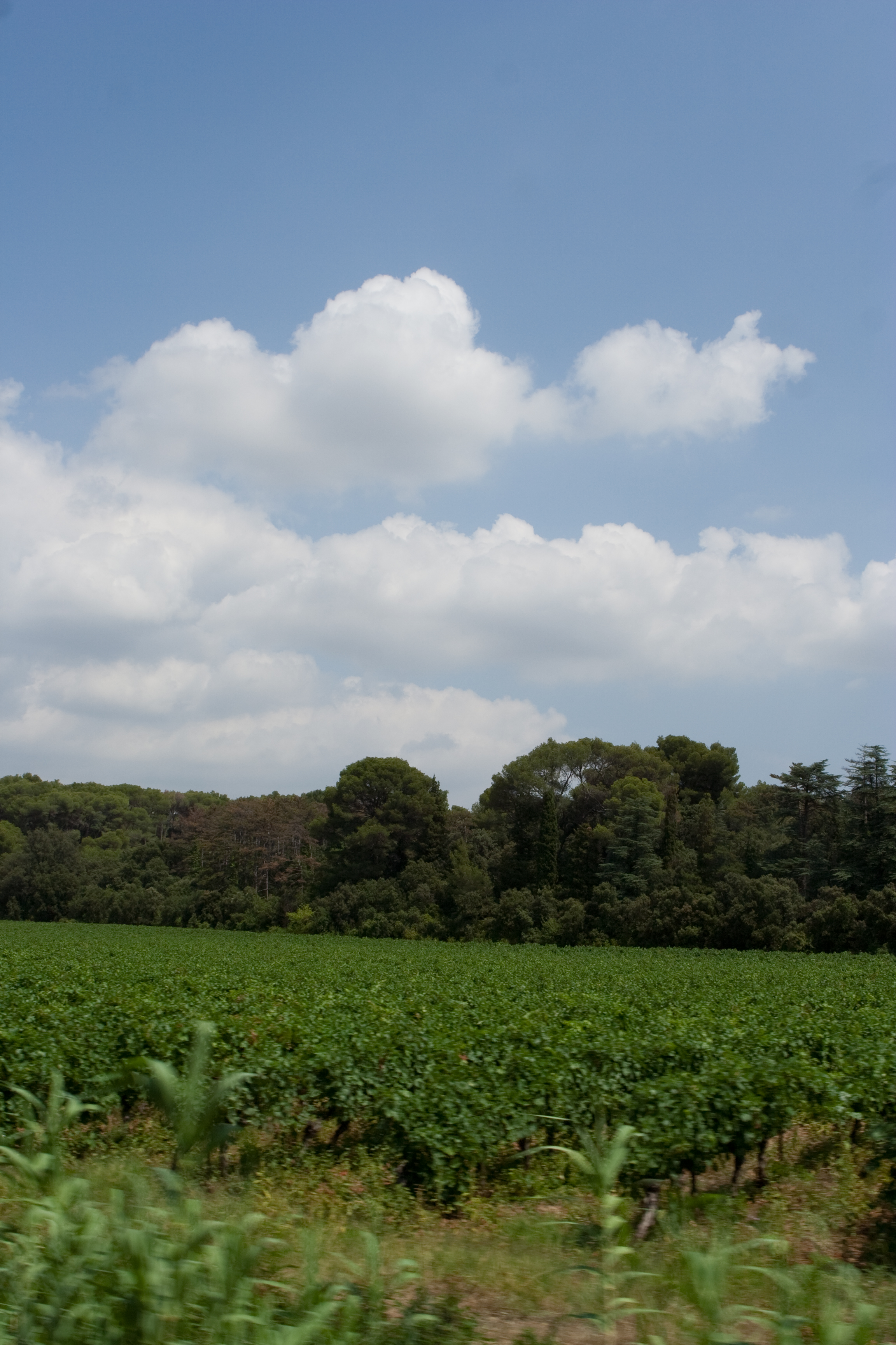 vakantie 2009 ontdekkingsreis-021.jpg